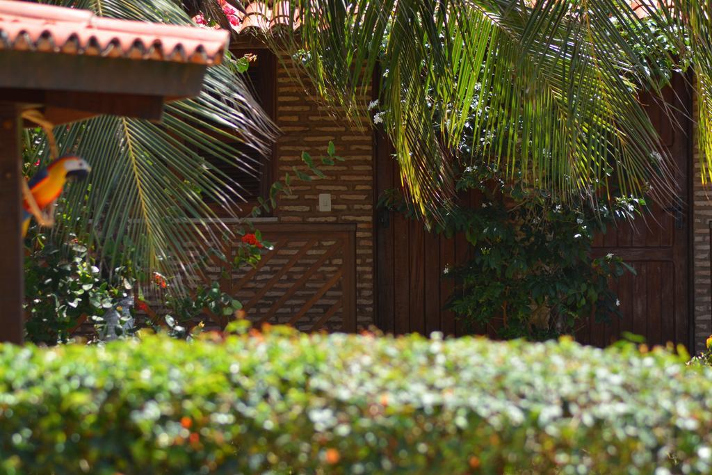 Pousada Arco Mundial Taíba Exteriér fotografie